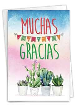 洋書 Infinitas Gracias: comporary Mexican Amazon.com : NobleWorks - 1 Spanish Thank You Card with